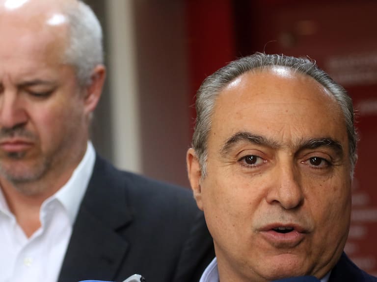 Jorge Uauy, presidente de Palestino