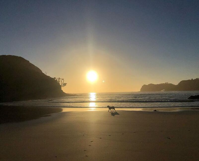 Lorde | Instagram