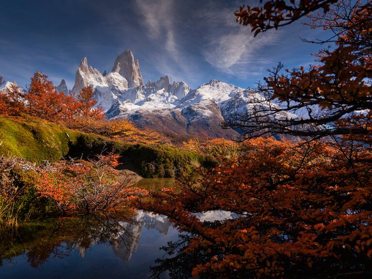 Un pulmón para el planeta: NASA señala que bosques chilenos de la Patagonia son los que más absorben carbono en el mundo
