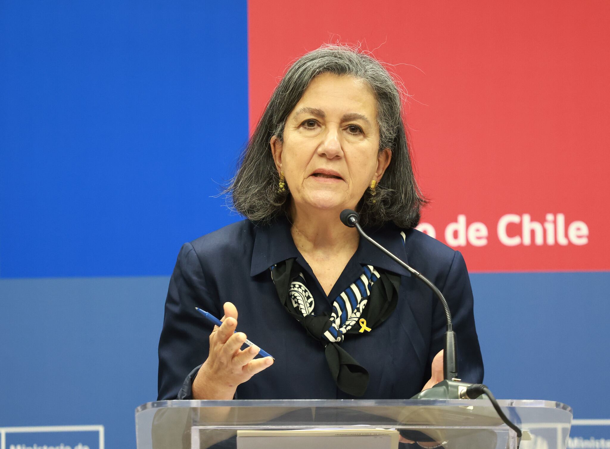 Gobierno ingresa proyecto para otorgar permiso laboral a padres tras la hospitalización de hijos por intento de suicidio