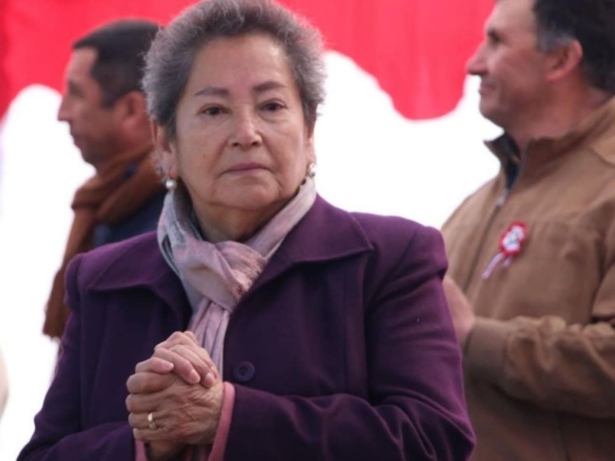 La técnica investigativa que podría ser clave para resolver la desaparición de la concejala en Villa Alegre