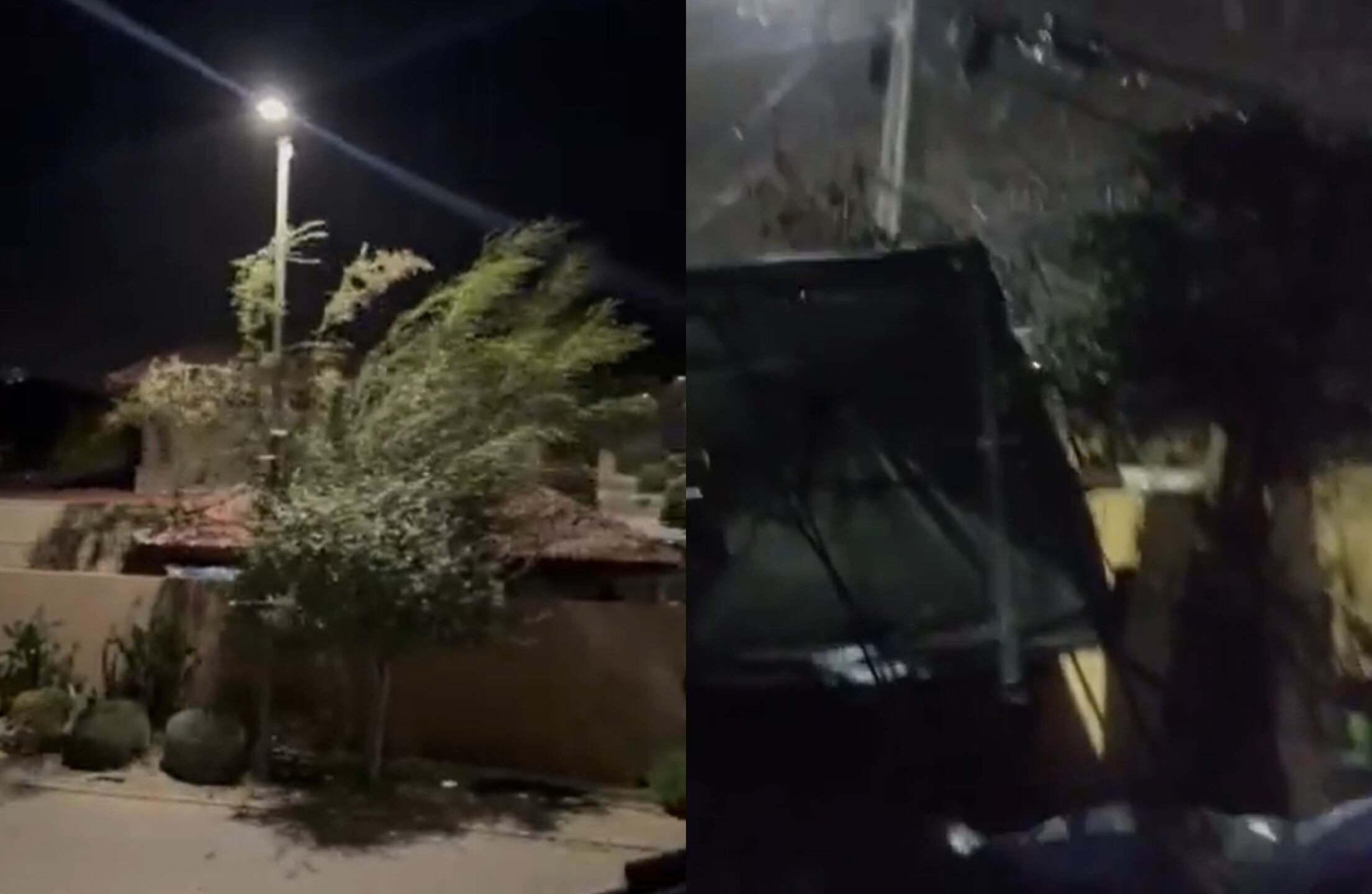 Capturas