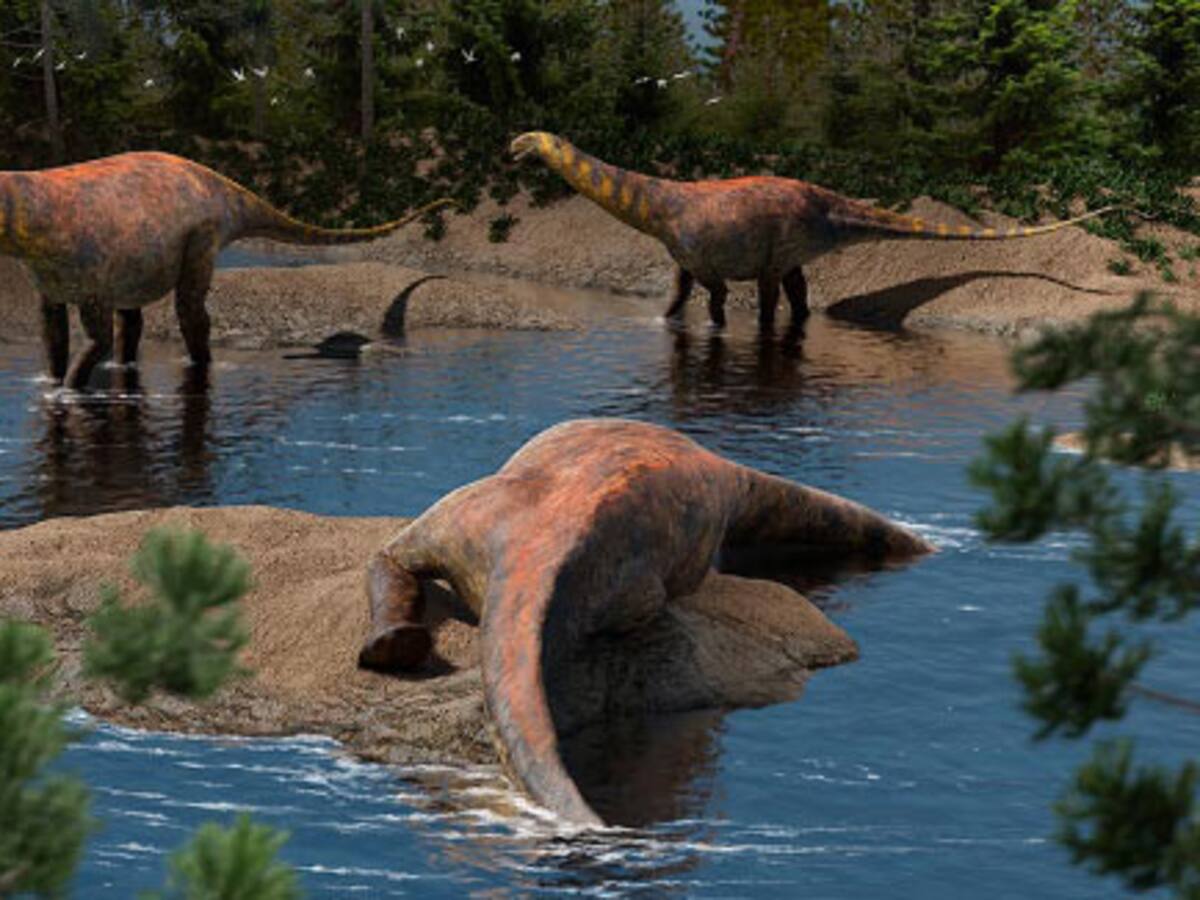 Descubren en Argentina nueva especie de dinosaurio gigante: medía 18 metros de largo y más de 10 toneladas