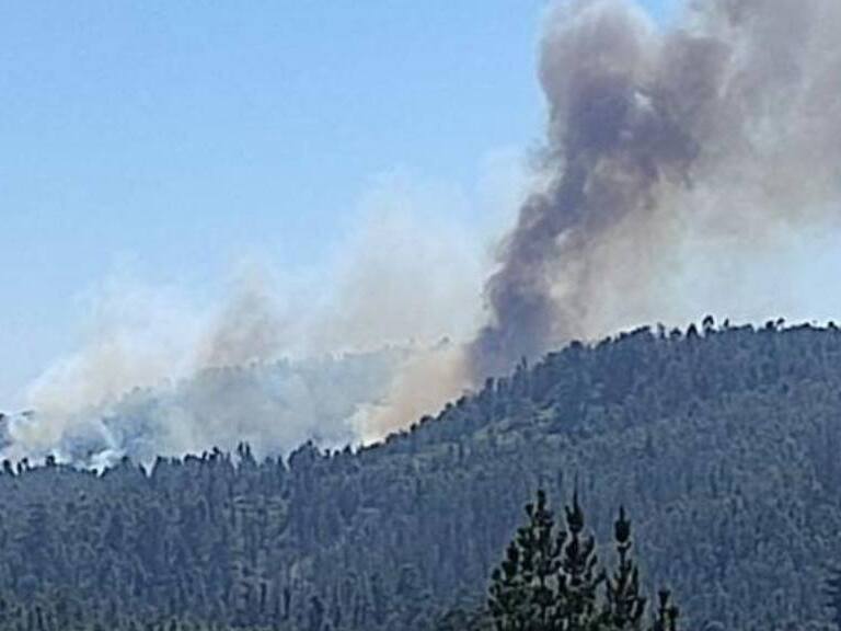 Decretan Alerta Roja por incendio forestal en Valparaíso: alcalde presenta querella por intencionalidad