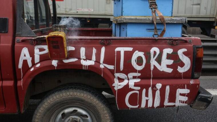 Apicultores protestan en La Moneda por muerte de abejas