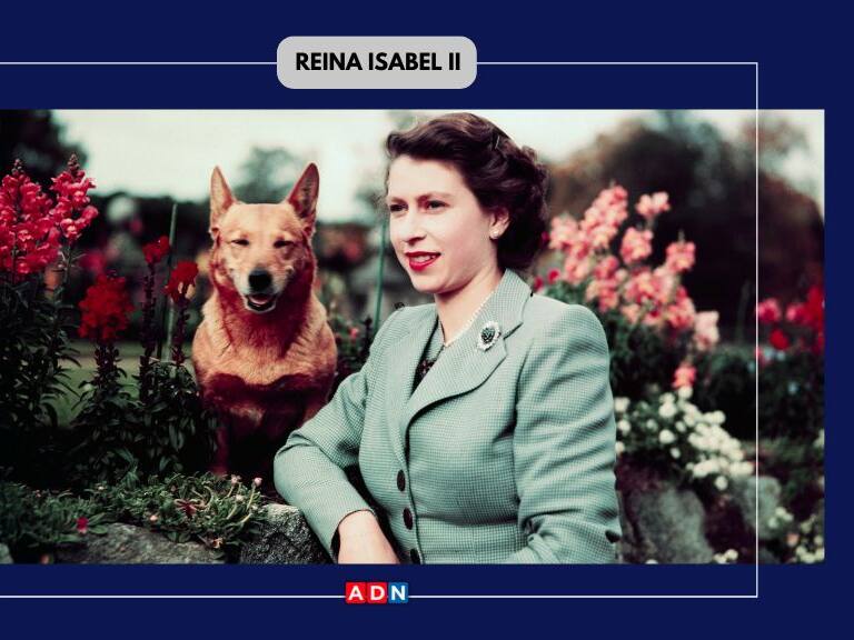 Destacada por su sentido de servicio y su sabiduría: el mundo político reacciona al deceso de la Reina Isabel II