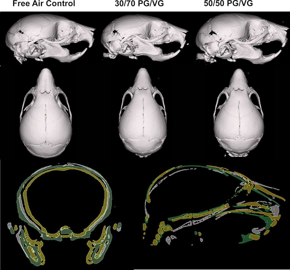 (Richlak et al., PLOS One, 2025