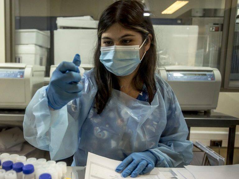 30 DE ENERO 2021 / OSORNO Personal de salud trabaja en el laboratorio de análisis de los exámenes de PCR en el Hospital Base San José de Osorno durante la cuarentena total que afecta a la ciudad debido a la emergencia sanitaria provocada por el coronavirus.
FOTO: FERNANDO LAVOZ /AGENCIAUNO.