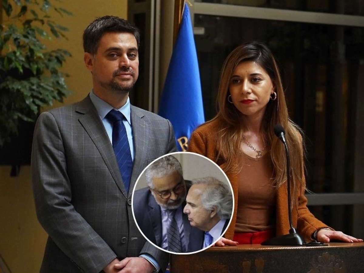 Diputados Manouchehri y Cicardini (PS) denuncian en Fiscalía red de jueces ligada a Hermosilla y Chadwick