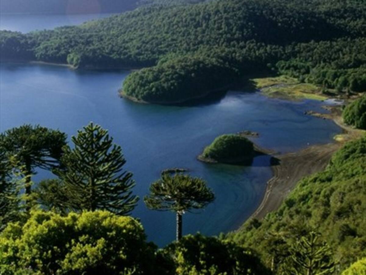 LATAM ofrece pasajes ida y vuelta a tres ciudades del país desde los $26 mil