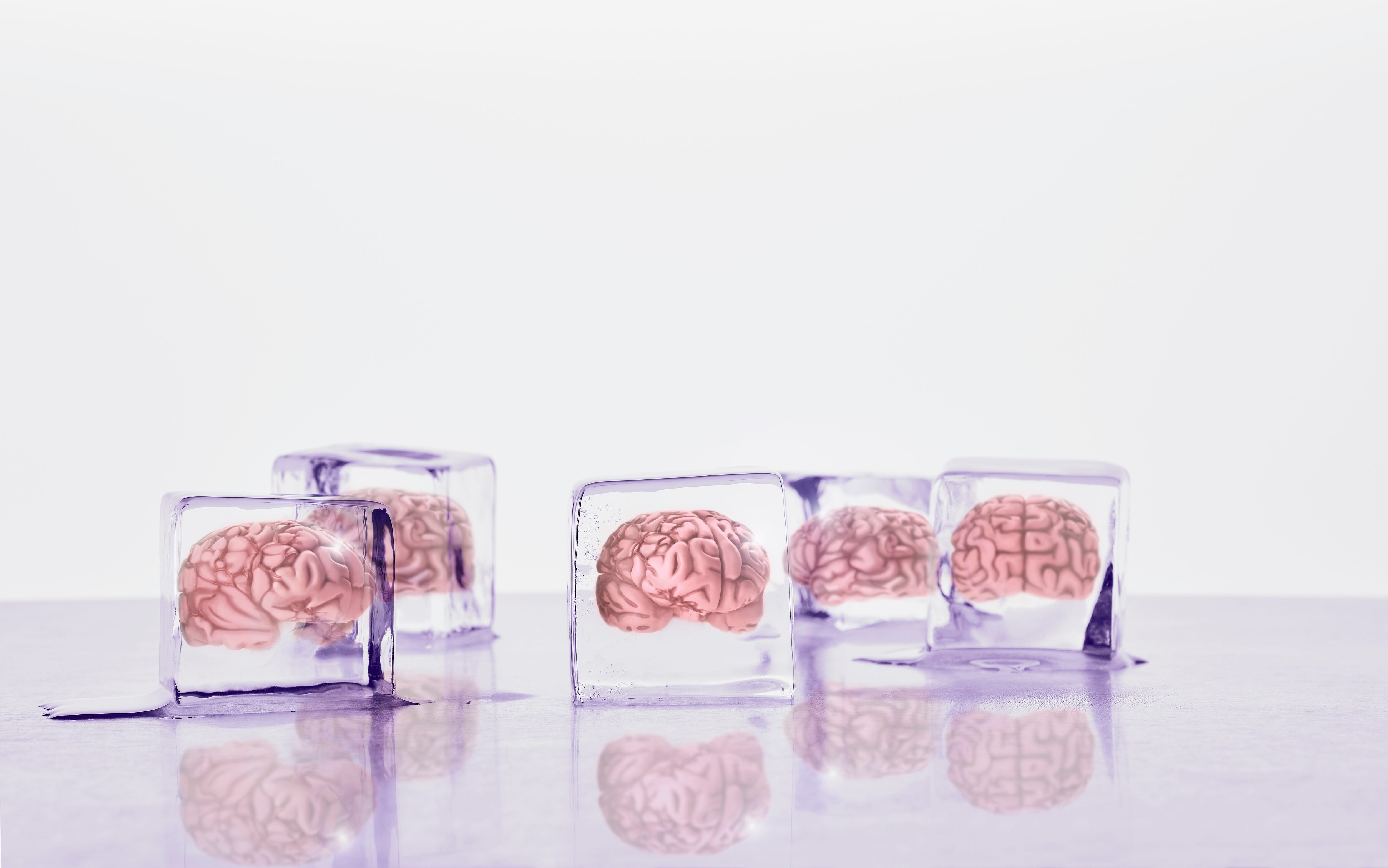 Brains frozen in ice cubes