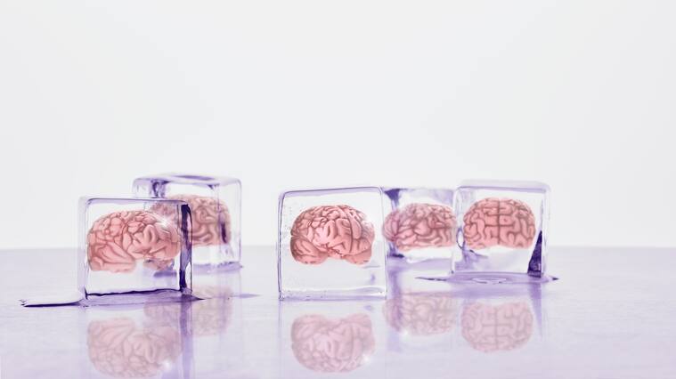 Brains frozen in ice cubes