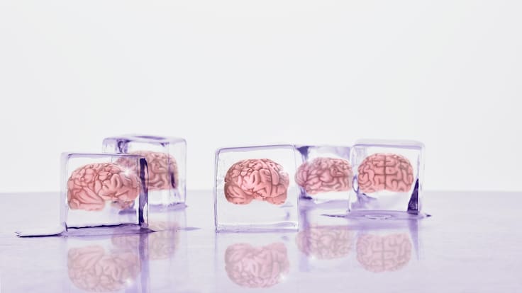 Congelar cerebros puede ser realidad: estudio logra reactivar neuronas tras frío extremo