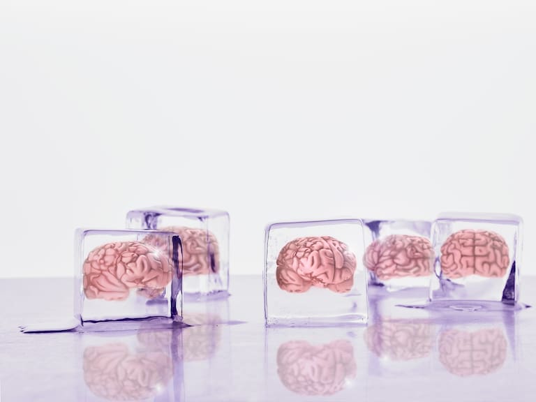 Brains frozen in ice cubes