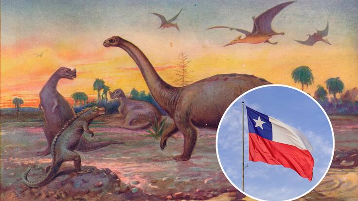 Vivió con los dinosaurios y es chilena: esta es la histórica especie que está al borde de la extinción (y los motivos detrás del problema)