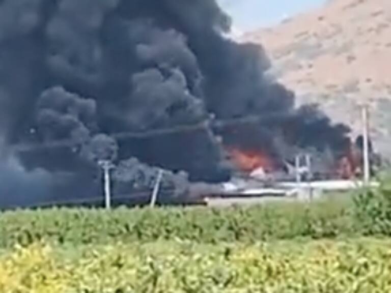 Incendio de grandes proporciones afecta a packing en la comuna de Coltauco