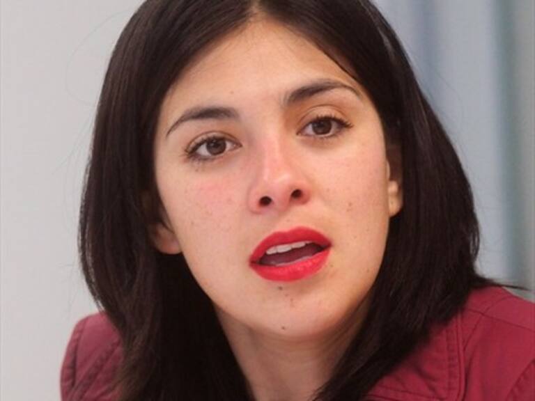 Karol Cariola: Se enviarán antecedentes del caso Piñera-LAN a Estados Unidos