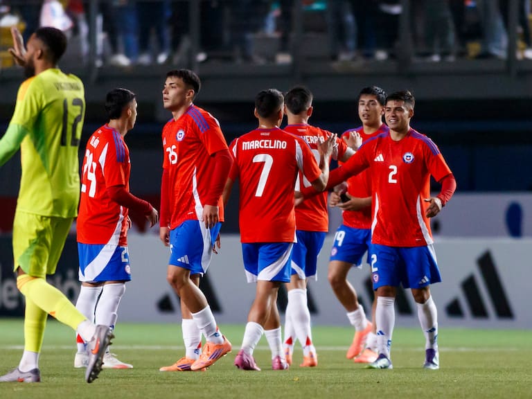 Con múltiples sorpresas: esta es la nómina de Chile para enfrentar a Nueva Zelanda y Cabo Verde en el FIFA Series