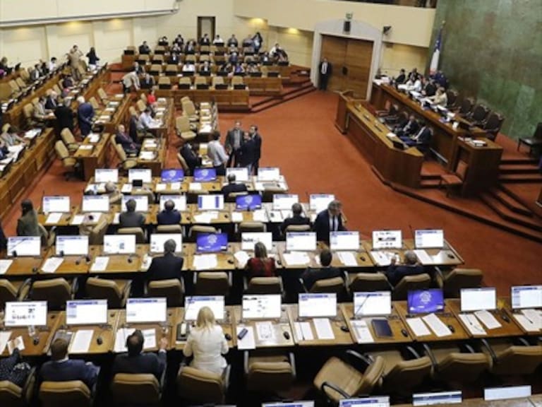 Cámara de Diputados aprobó comisión que investiga violaciones de militares en Haití