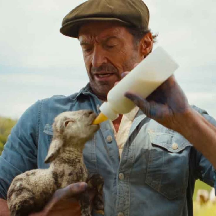 ‘Las ovejas detectives’ lanza hilarante tráiler con Hugh Jackman en el elenco