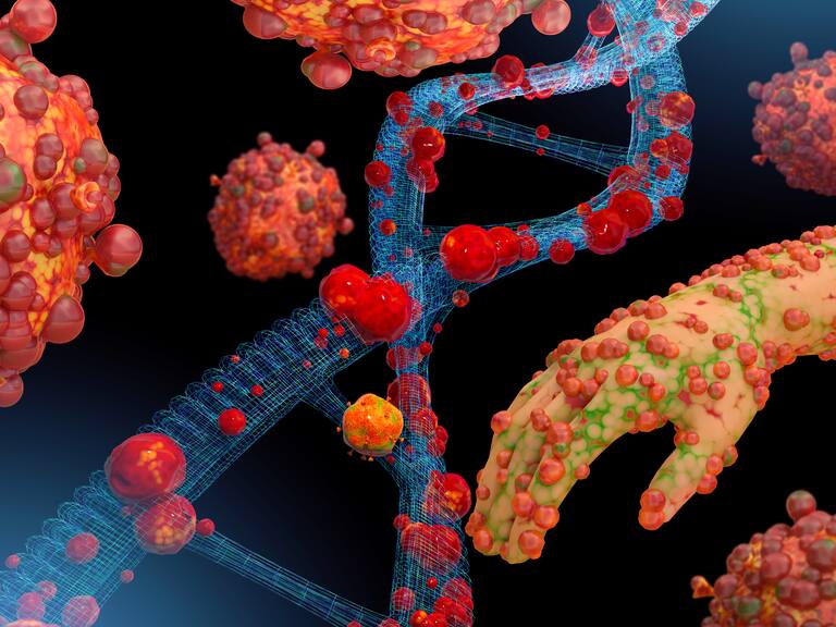 Viruela del mono: cuáles son los síntomas y cómo se contagia la enfermedad alertada por la OMS