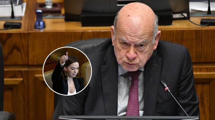 Senador Insulza acusa a Camila Flores de prometer “pena de muerte y castración química” en panfletos de campaña