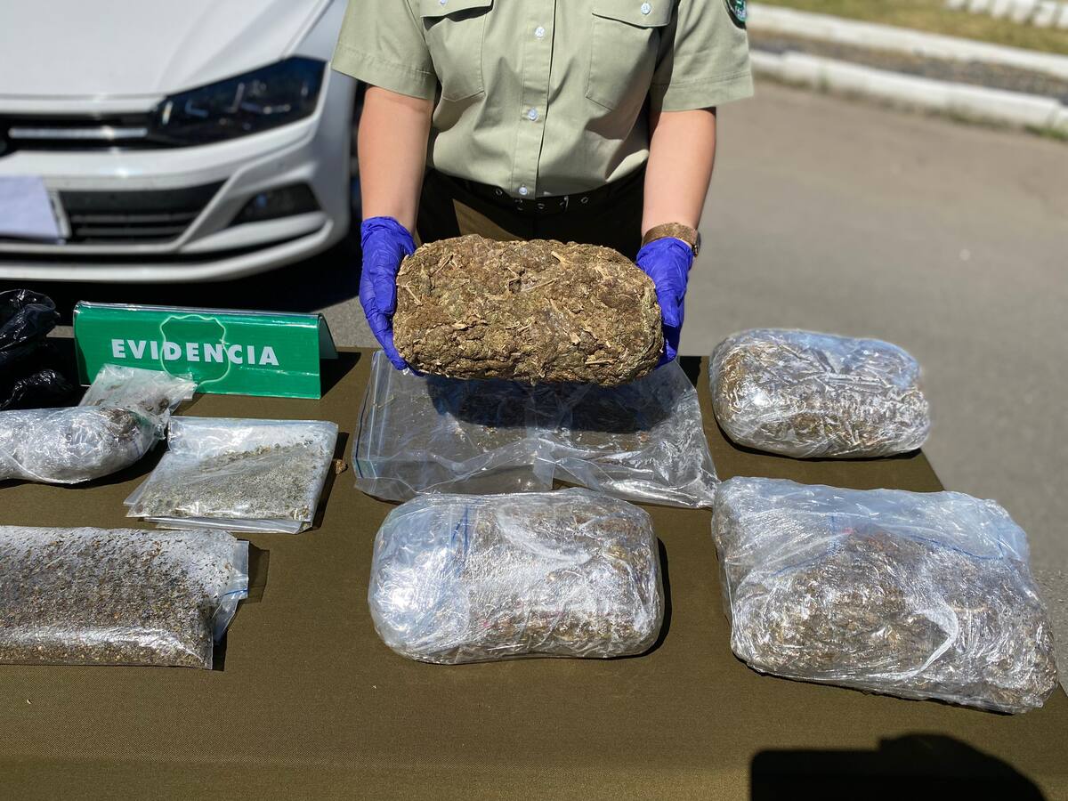 “Operación Monarca”: Carabineros desarticula banda dedicada al tráfico de drogas en Concepción e incauta más de $2.700 millones en marihuana