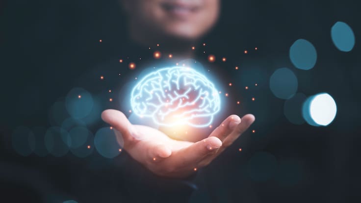 ¿Cómo tu cerebro reconoce a las personas?: investigación chilena busca responder este misterio