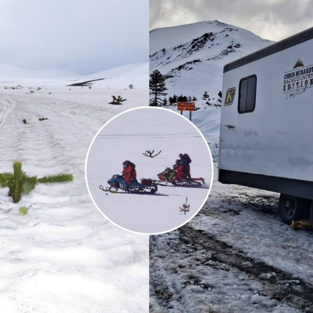 CONAF denuncia ingreso ilegal de motos de nieve a reserva en La Araucanía y alerta por daño a flora y fauna