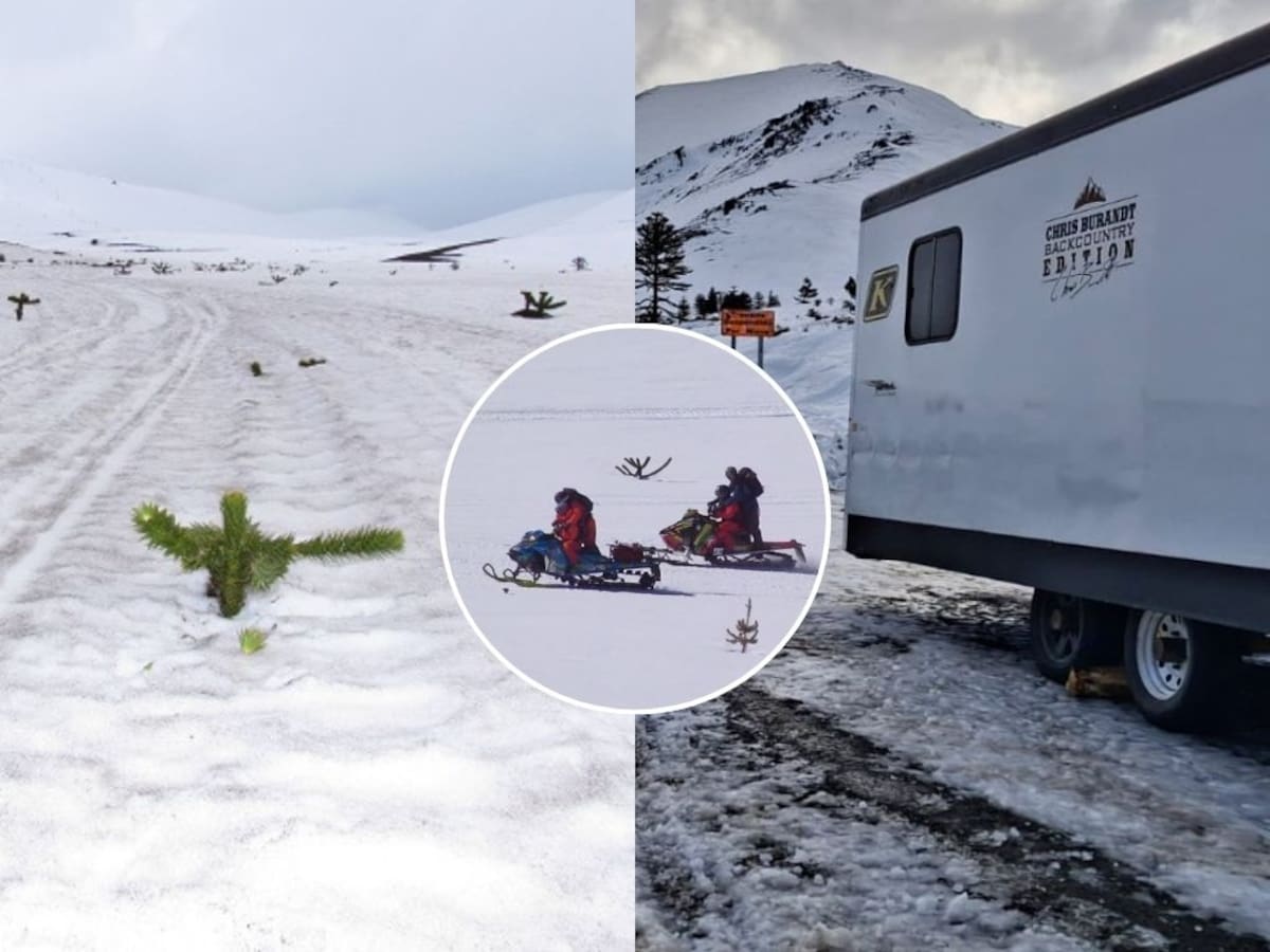 CONAF denuncia ingreso ilegal de motos de nieve a reserva en La Araucanía y alerta por daño a flora y fauna