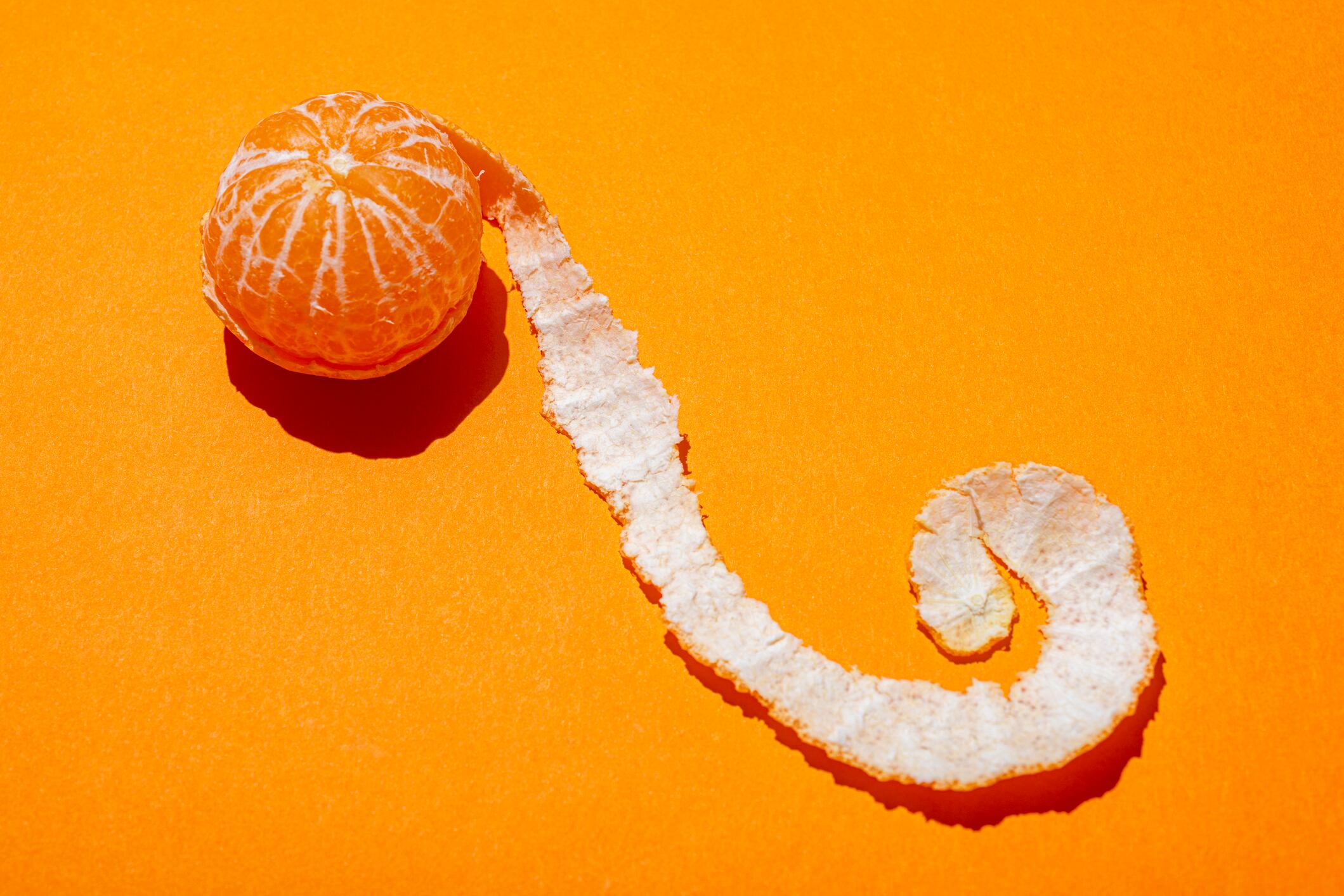 Coil of fresh tangerine peel newly removed from tangerine on orange background.Studio shot