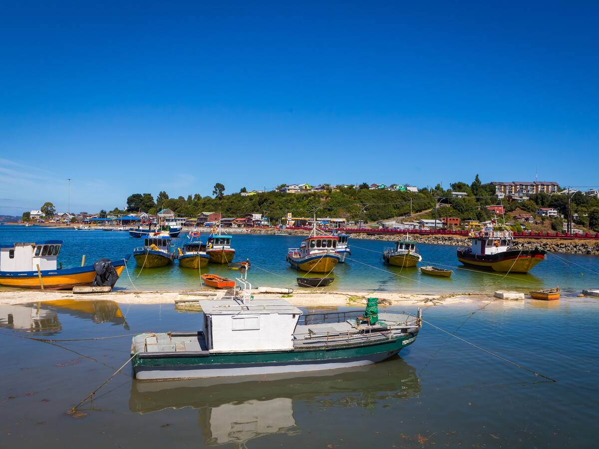 Oceana valora los avances de la Ley Bentónica: “Faltaba como país tener un marco regulatorio específico