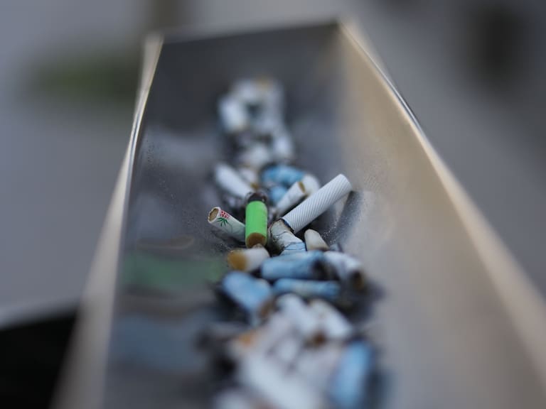 FOTO: SEBASTIAN BELTRAN GAETE / AGENCIAUNO