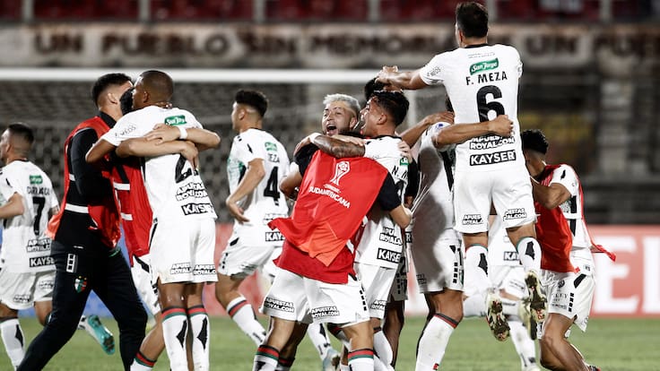 Jorge Uauy, presidente de Palestino