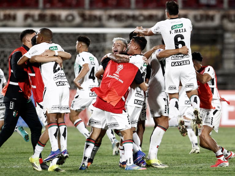 Jorge Uauy, presidente de Palestino