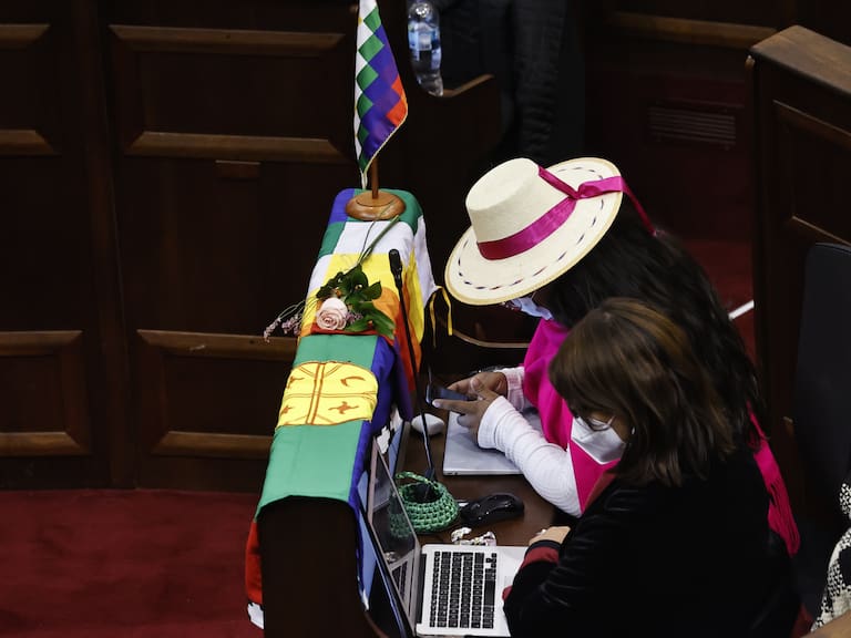 Pueblos originarios alegan hipocresía de convencionales de izquierda tras rechazo de informe de la comisión