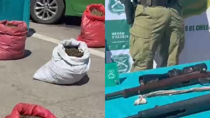 Incatan casi 38 mil plantas de cannabis