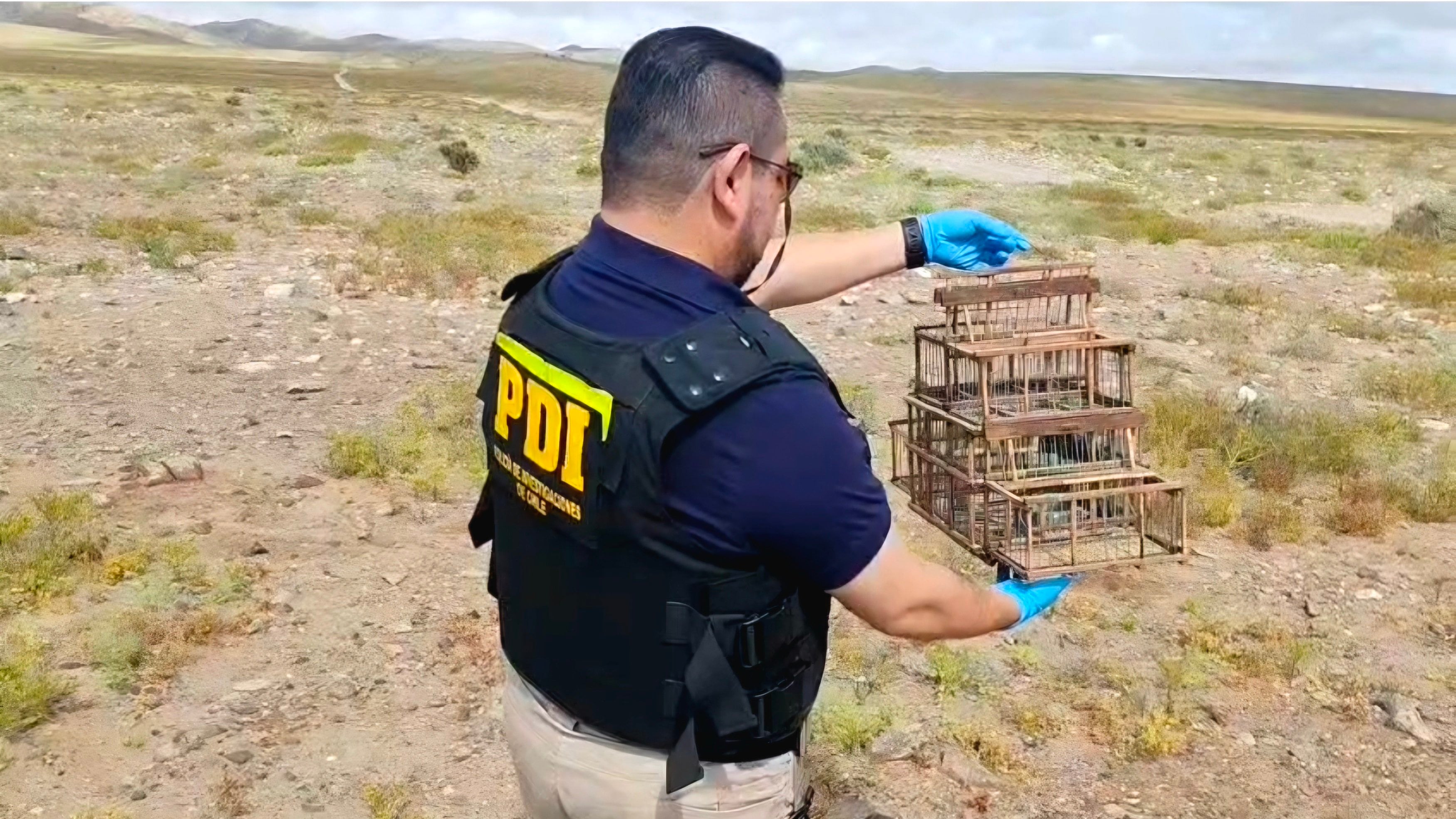 Policía de Investigaciones (PDI)