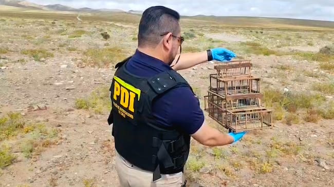 Policía de Investigaciones (PDI)