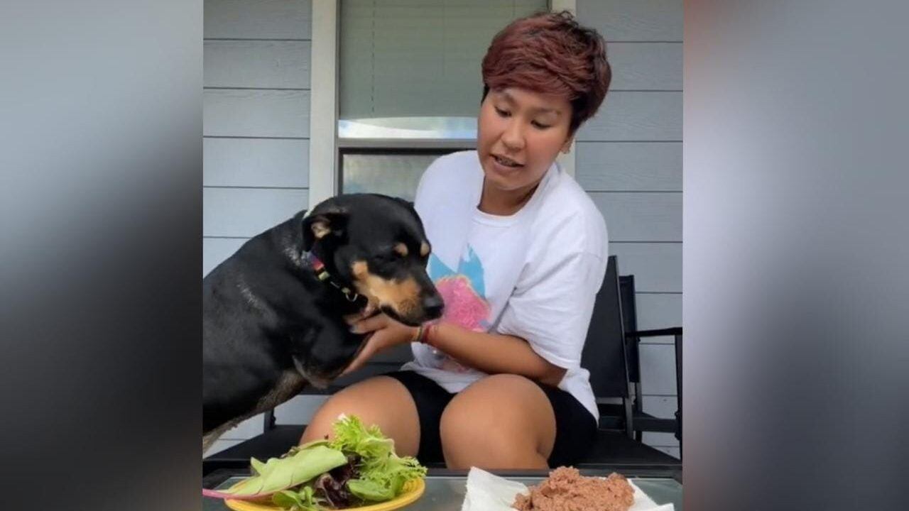 Video de reacción de perro vegetariano al ver alimento saca carcajadas en redes sociales | TikTok