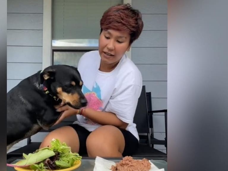 Video de reacción de perro vegetariano al ver alimento saca carcajadas en redes sociales | TikTok