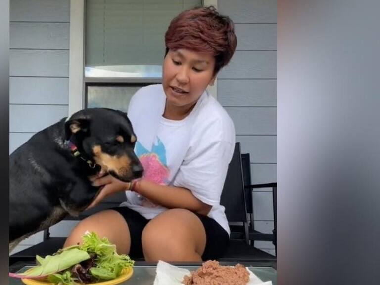 Video de perro «vegetariano» sacó carcajadas en redes sociales y se hizo viral