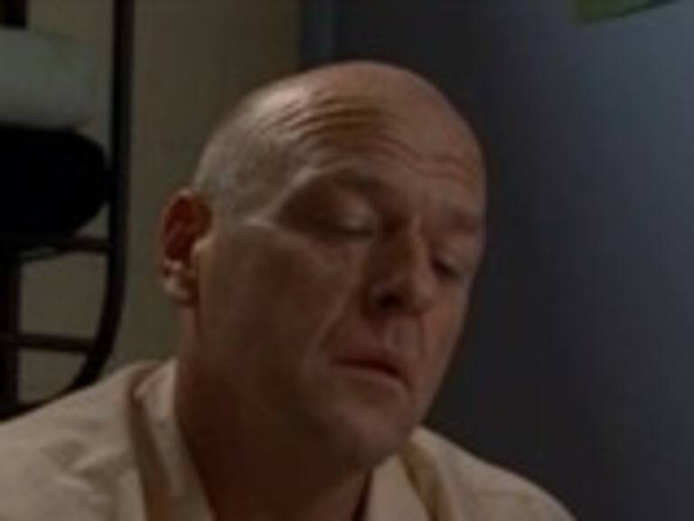 ¿Hank Schrader tendrá una aparición en Better Call Saul?