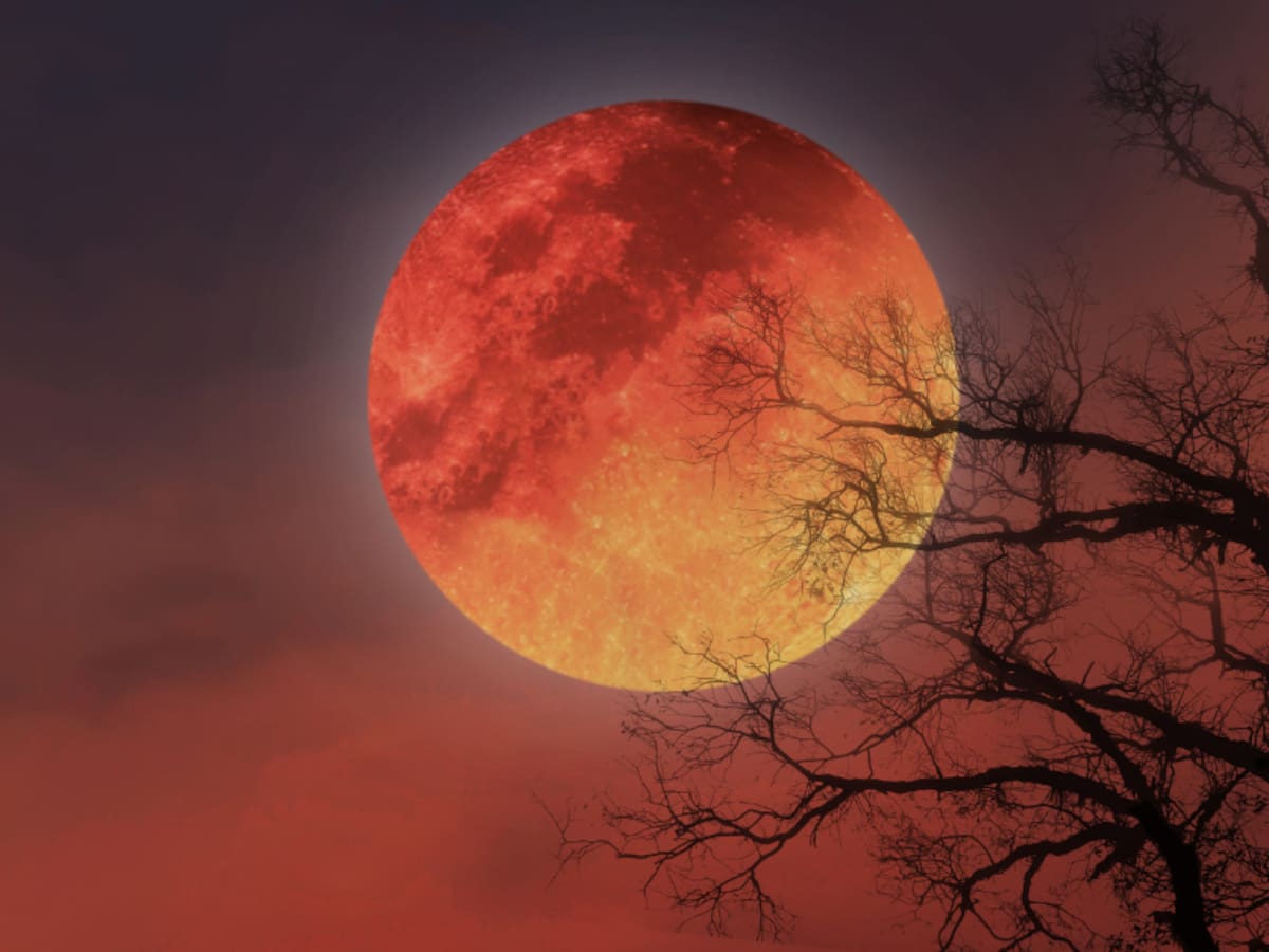 Eclipse lunar 2025 en Chile: a qué hora ver el evento este 14 de marzo
