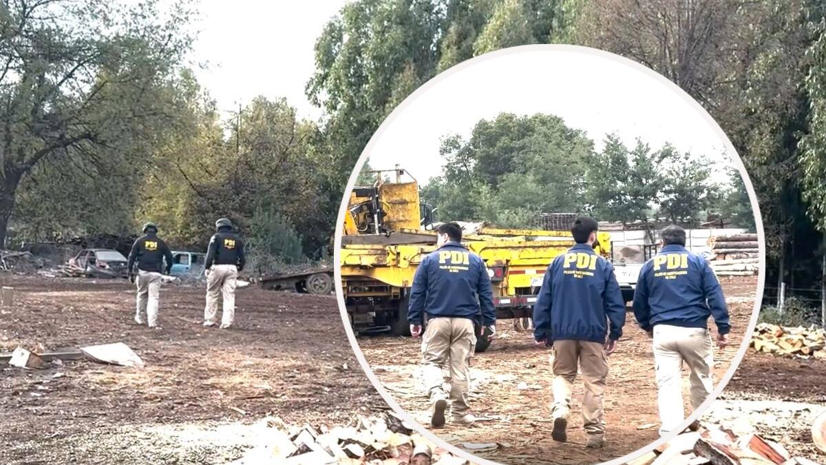 Desarticulan la mayor asociación delictiva dedicada al robo de madera en Ñuble: 17 detenidos y $3 mil millones incautados