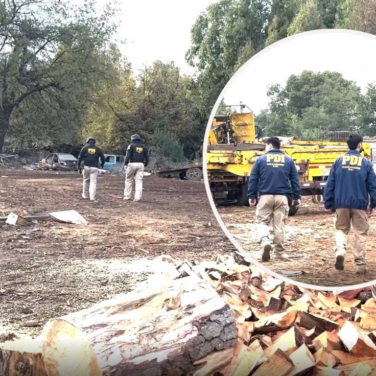 Desarticulan la mayor asociación delictiva dedicada al robo de madera en Ñuble: 17 detenidos y $3 mil millones incautados