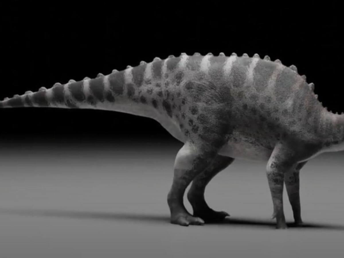 Estudiante de doctorado acusa que sus supervisores de tesis plagiaron su descubrimiento de un nuevo dinosaurio en Chile