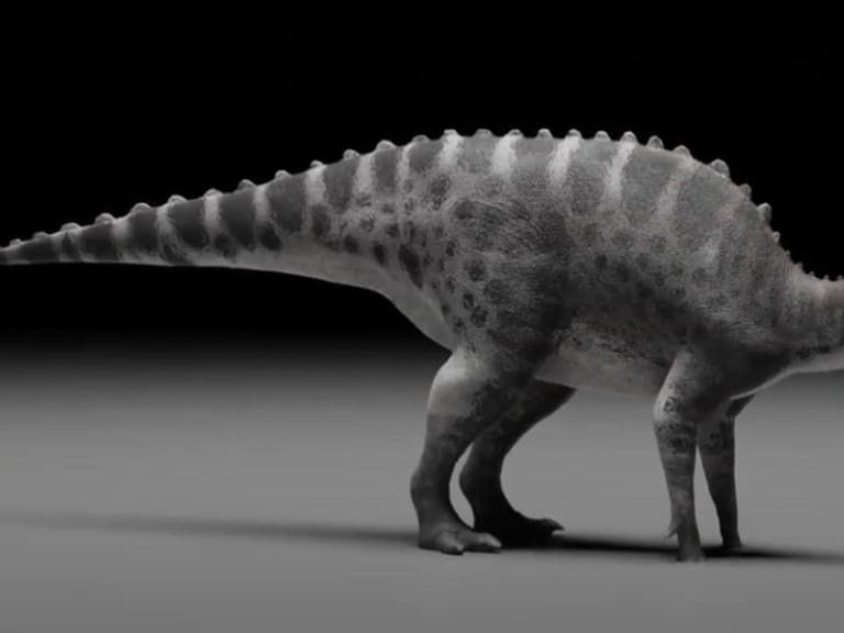 Estudiante de doctorado acusa que sus supervisores de tesis plagiaron su descubrimiento de un nuevo dinosaurio en Chile