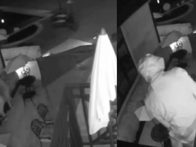 Reportaje de Fox News asegura que delincuentes chilenos «aterrorizan» EE.UU.