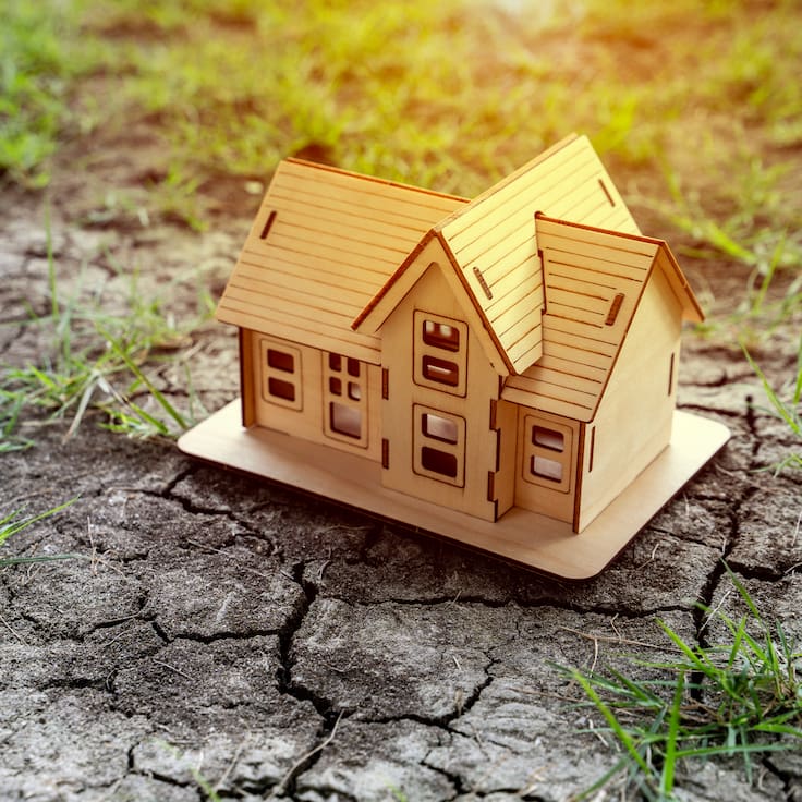 Científicos revelan cuándo morirán las últimas plantas de la Tierra: el tiempo es más de lo esperado